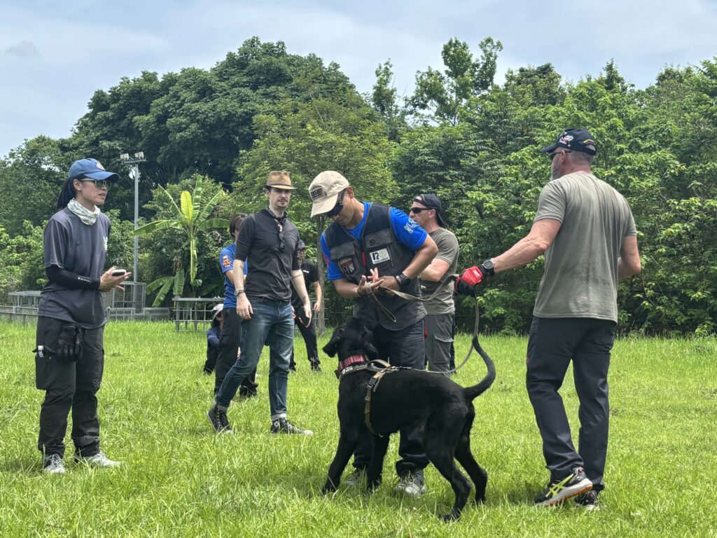 台西跨國打造國際搜救犬訓練營 汪喵星球強力後援補給挺毛英雄 2 114051341