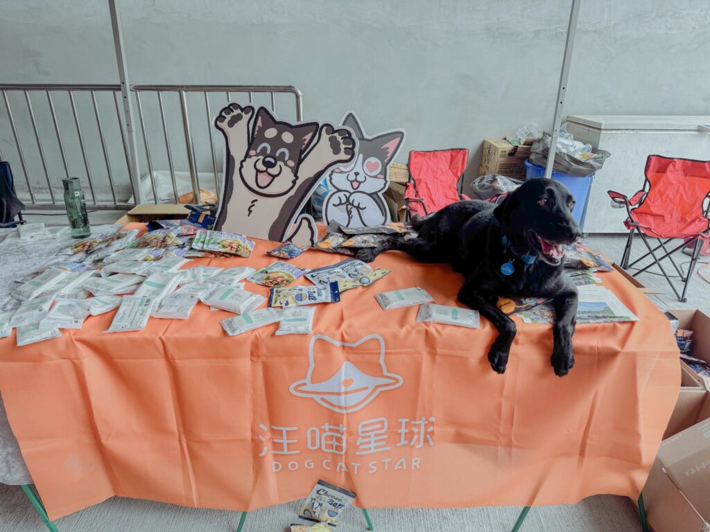 台西跨國打造國際搜救犬訓練營 汪喵星球強力後援補給挺毛英雄 3 114051342