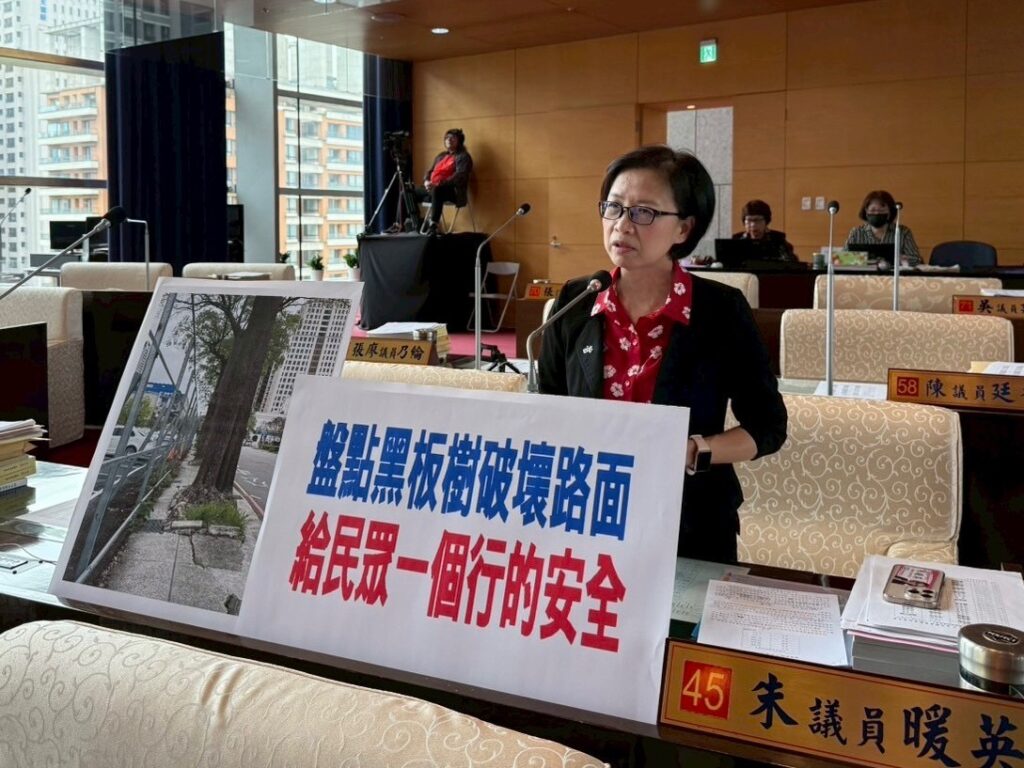 黑板樹浮根破壞路面礙通行安全 朱暖英要求中市府盤點處理 1 S 57262146