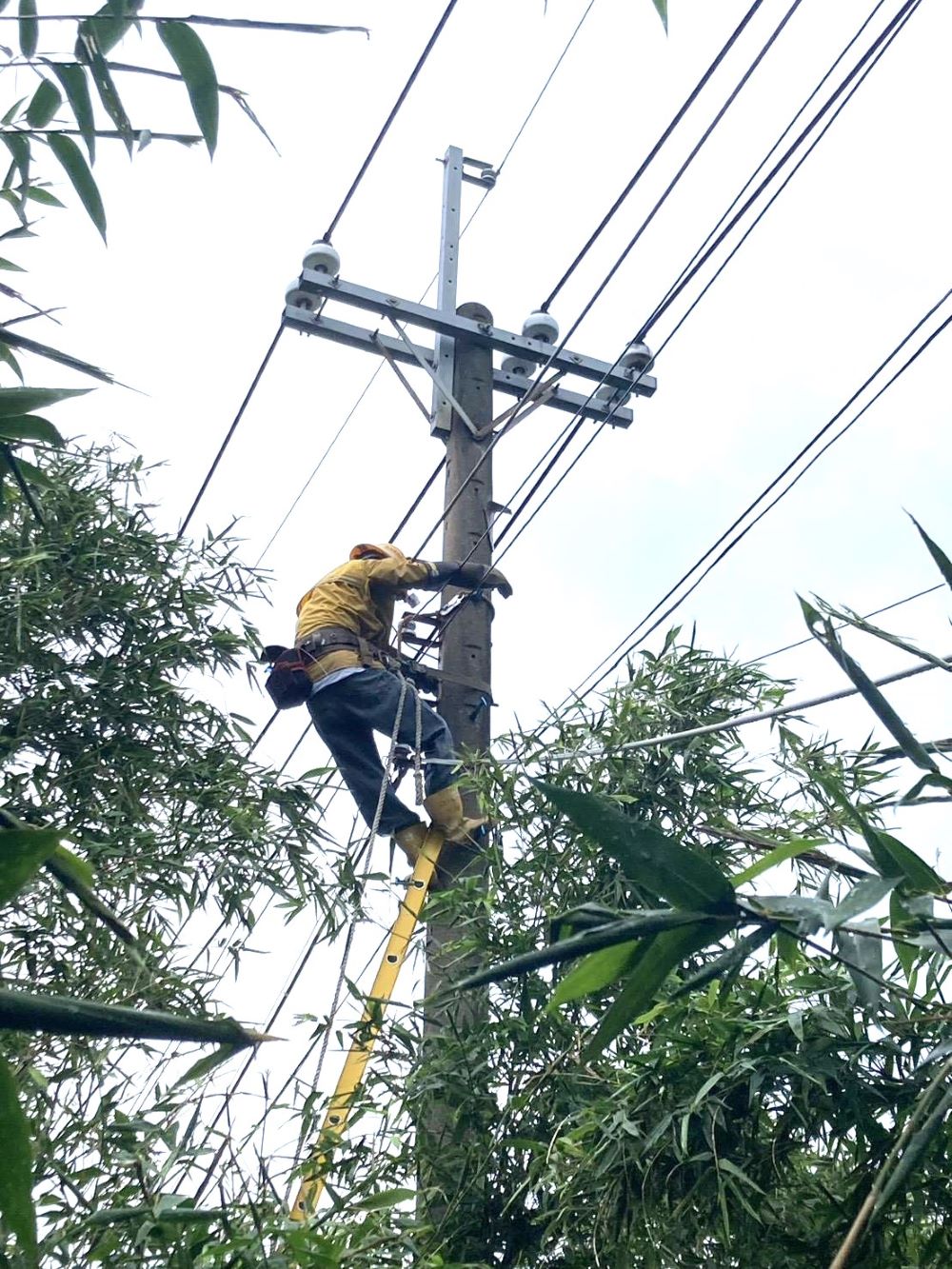 《圖說》現場搶修情形。〈台電北西區處提供〉