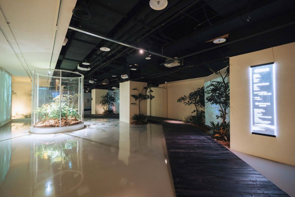 解鎖「光」密碼 宗博館化身靈性遊樂場 3 《圖說》「光在萬物」特展的「萬物之光展區」,展現生命之間能量的流動與相互依存。〈宗博物館提供〉