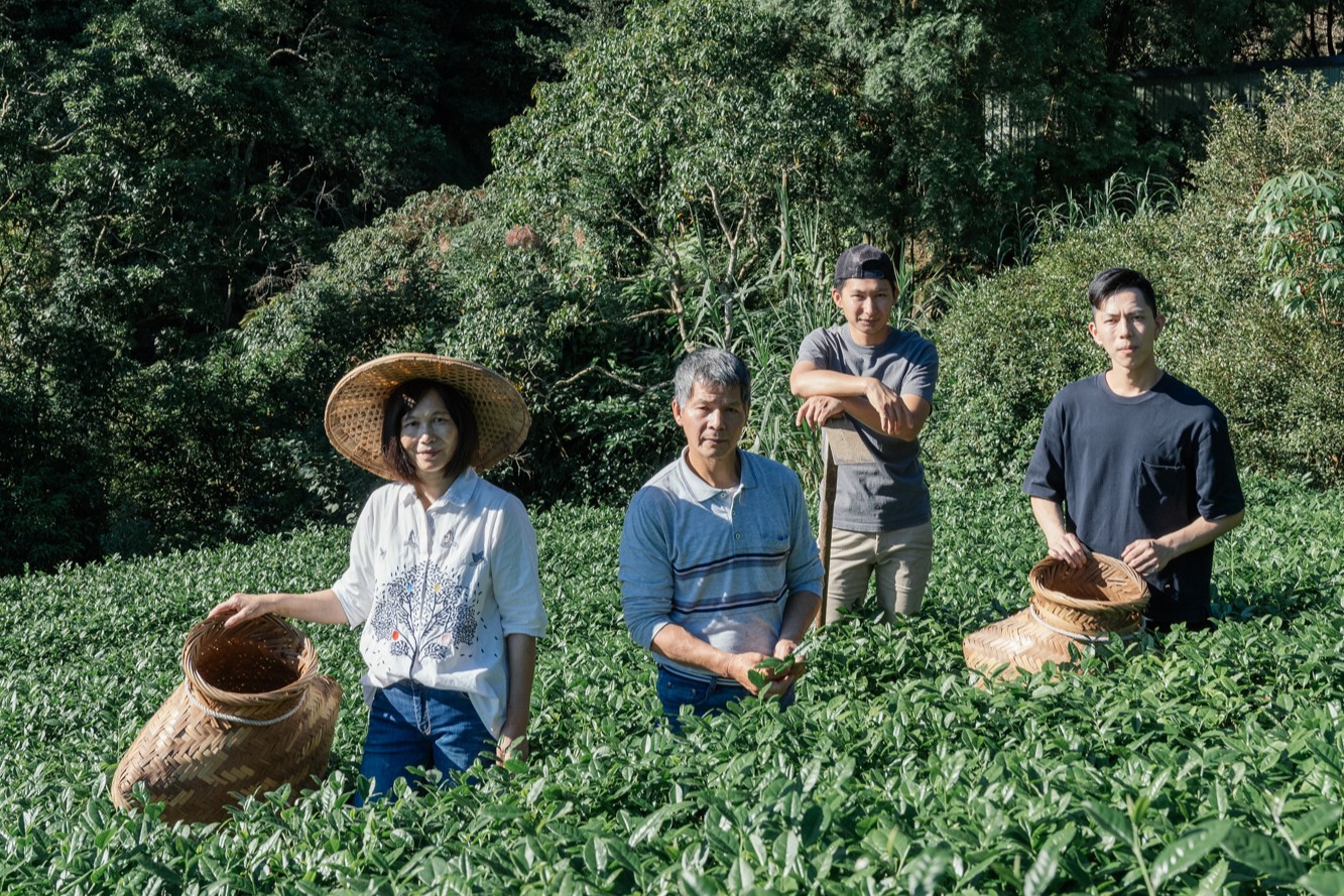 連獲國際大獎肯定 新北茶青展實力 3 《圖說》白青長茶作坊現由製茶第5代的青農兄弟檔白俊育(右2)、白順楊(右1)共同經營。〈農業局提供〉