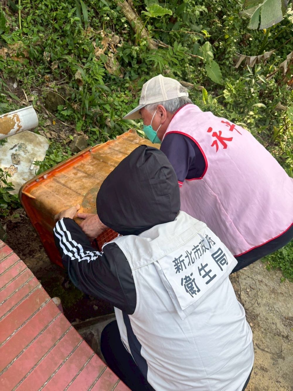 防治登革熱 新北提前部署清除孳生源 1 《圖說》衛生局、里環保志工清除孳生源。〈衛生局提供〉