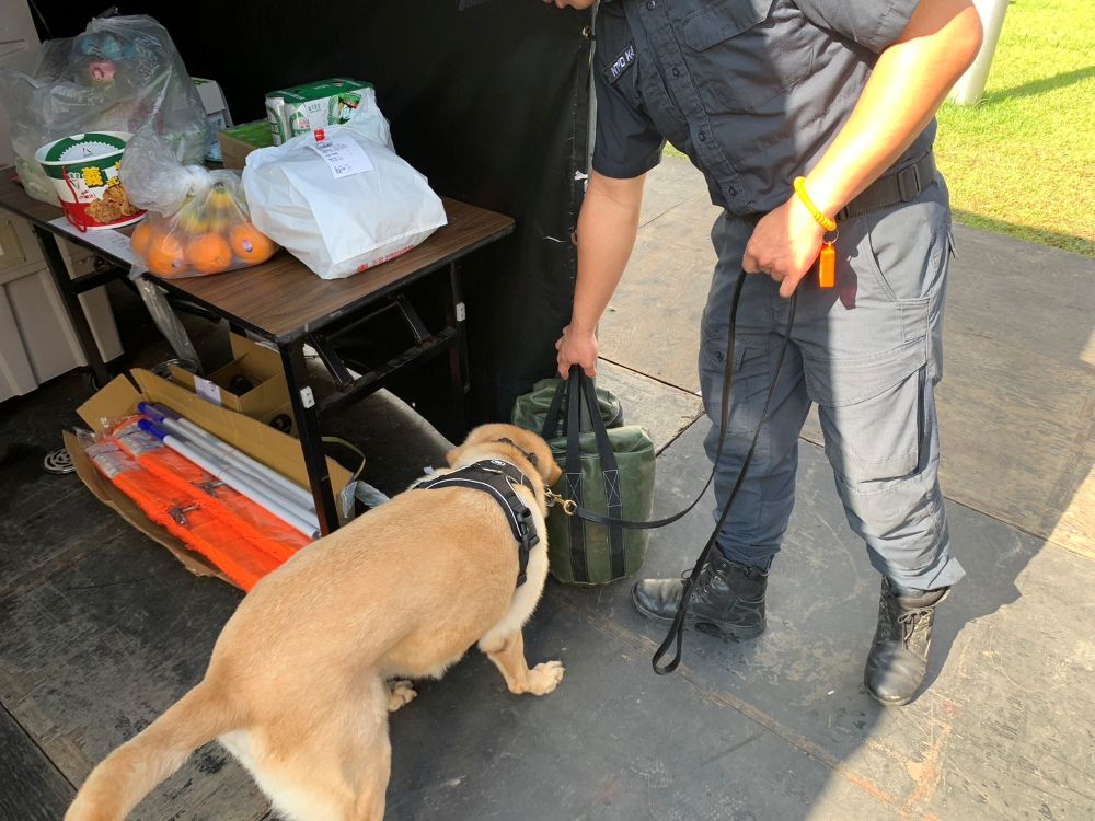 雙北世壯運圓滿閉幕 新北576員警最高規格維安 3 《圖說》新北警局警犬隊執勤情形。〈新北市警察局提供〉