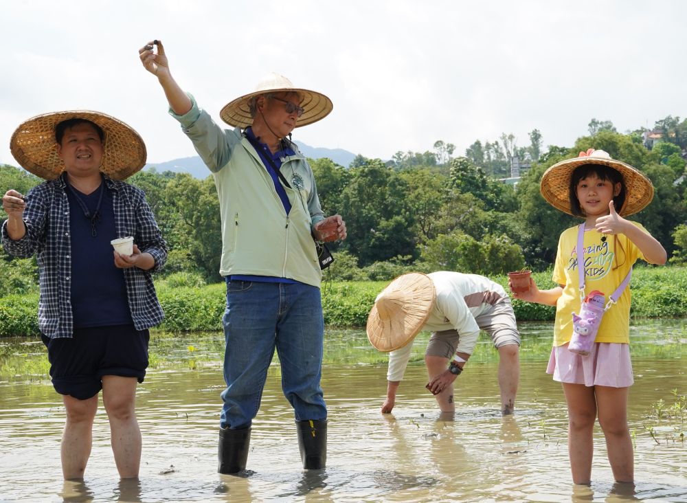 轉型食農教育場域 臺大農場攜手新北推食農教育 1 《圖說》荷花種植體驗。〈農業局提供〉