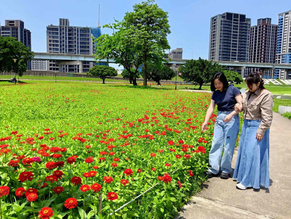 繽紛花海 新北河濱春日漫步夢幻花園 4 《圖說》現場花紅葉綠,倩影雙行。〈高灘處提供〉