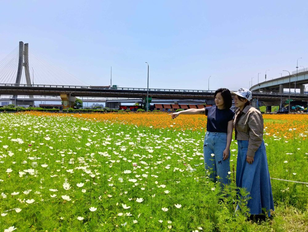繽紛花海 新北河濱春日漫步夢幻花園 6 《圖說》繁花似錦的午後最適合來新北大都會公園走走賞花。〈高灘處提供〉