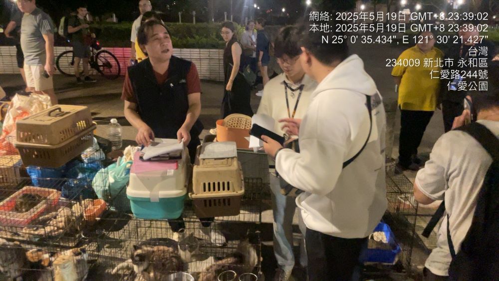 公園棄養狗貓 新裁罰港女55萬列黑名單 2 《圖說》動保處派員前往維持秩序。〈動保處提供〉