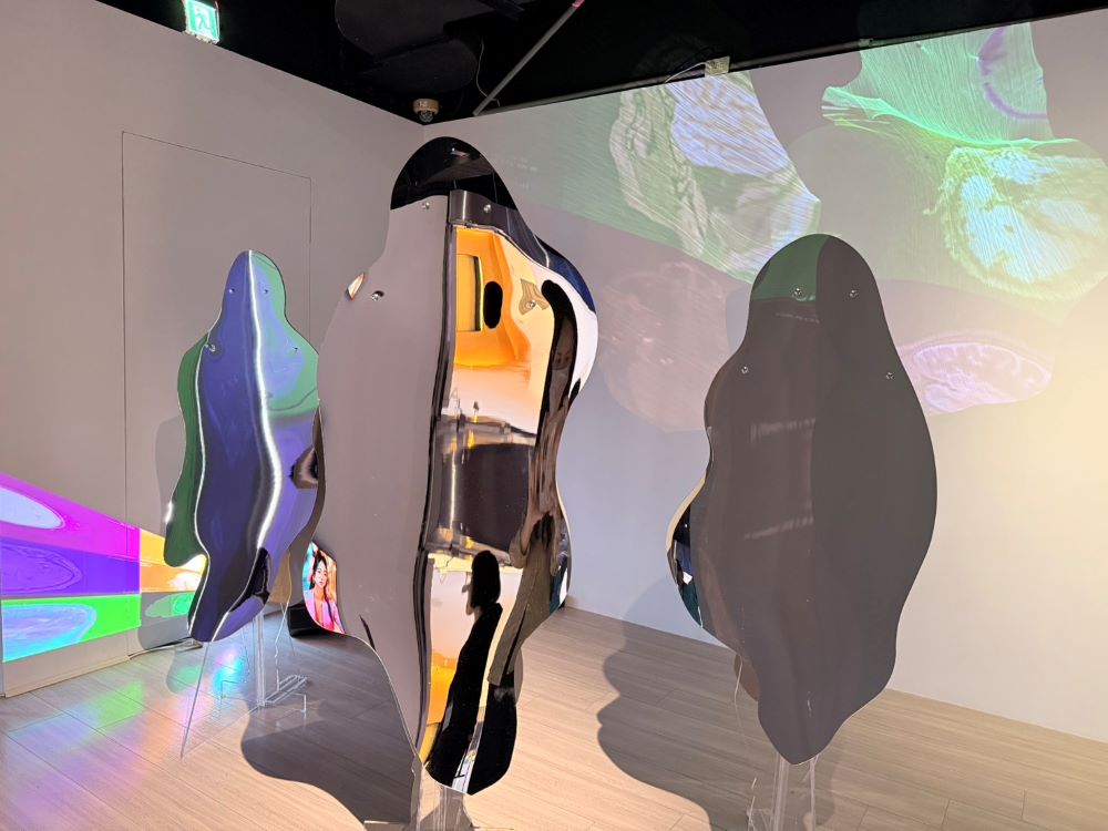 「影像・流變:當代影像藝術的同質異像」展 7/1起申請 1 《圖說》往年申請展展出-藝術家林月霞《微膠細胞失序》。〈文化局提供〉