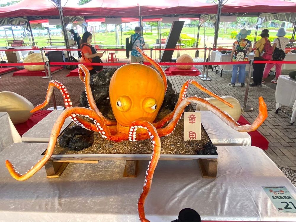 好吃、好看又好玩 淡水南瓜展售會週末登場 1 《圖說》南瓜展售會現場將展示創意組南瓜。〈農業局提供〉