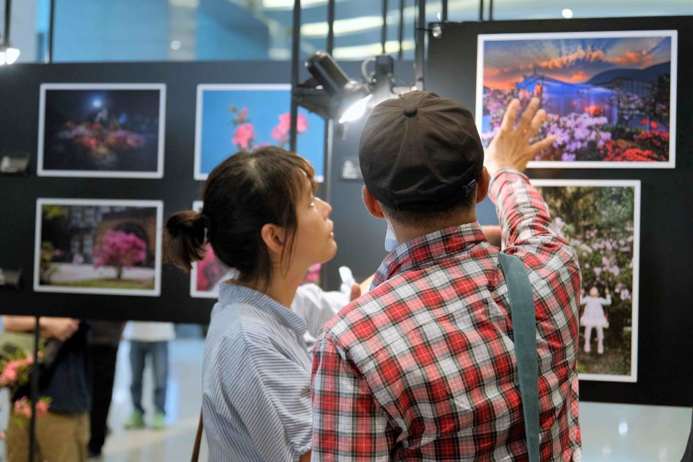 萬金杜鵑攝影展6/4開展 觀展贈樹苗 1 《圖說》2025新北市萬金杜鵑攝影展6月4日至13日於新北市政府一樓北二門走廊登場。〈農業局提供〉