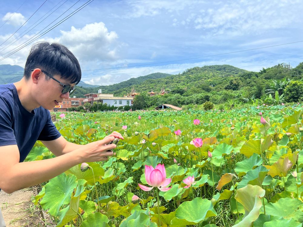 農村不遠走吧! 金山六三農再社區蓮花遊程即起報名 1 《圖說》民眾搶拍牡丹蓮。〈農業局提供〉