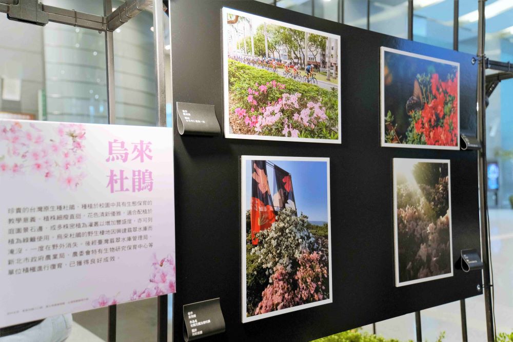 萬金杜鵑攝影展6/4開展 觀展贈樹苗 3 《圖說》萬金杜鵑攝影展將展出16件獲獎作品。〈農業局提供〉