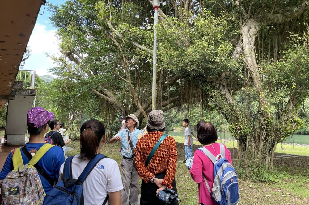 新北春季包種茶上市 週末坪林喝春拿好禮 6 《圖說》茶鄉一日走讀巡禮坪林生態茶園及水岸「白鷺鷥公寓」現場每梯次開放10人報名。〈農業局提供〉