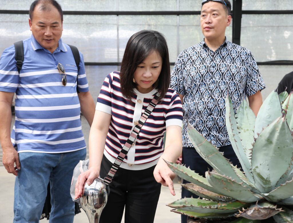 香港踩線團走訪苗栗自然圈農場用沈浸式五感與生態交流