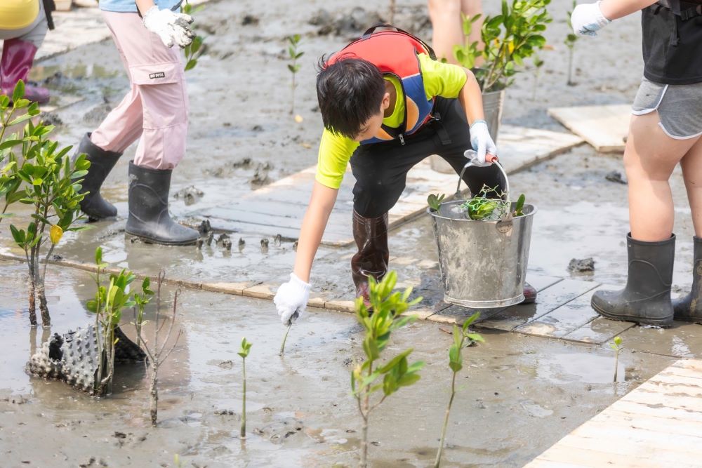 打造淡水河生態保育永續平衡 學童挽袖清除紅樹林幼苗 1 《圖說》參與活動的同學們分享,捲起褲管穿起雨鞋走到灘地是很特別體驗。〈高灘處提供〉