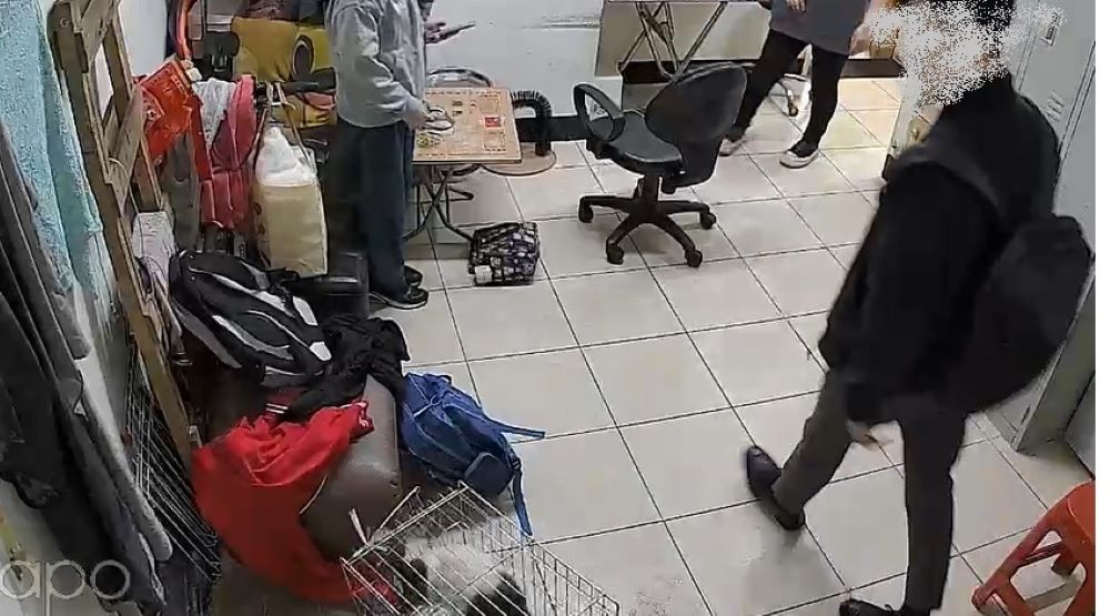 女友遭店貓抓傷 莽難怒踹反擊致貓受傷罰15,000元罰鍰 1 《圖說》貓籠變形,貓隻受傷驚嚇亂竄。〈動保處提供〉