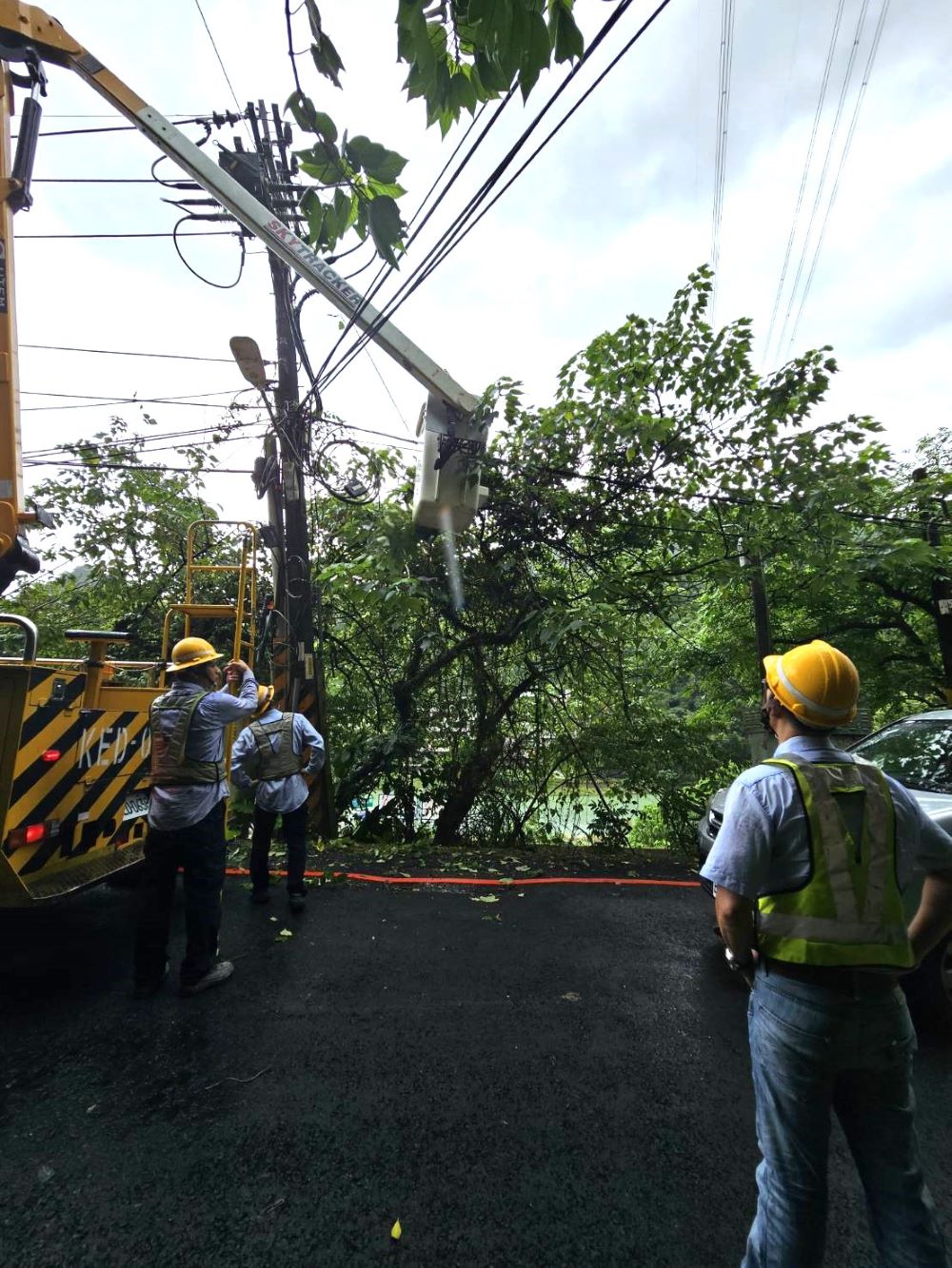 颱風來襲 台電北南區處整備防颱應戰 4 《圖說》颱風前台電人員進行樹修作業。〈台電北南區處提供〉