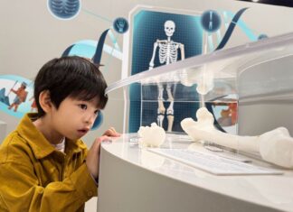 《圖說》十三行博物館「運動競化論—古代生活與現代競技特展」揭開史前人骨骼中的生存密碼。〈十三行提供〉