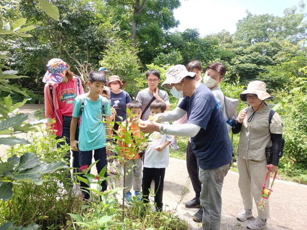蝴蝶蜜源植物解說